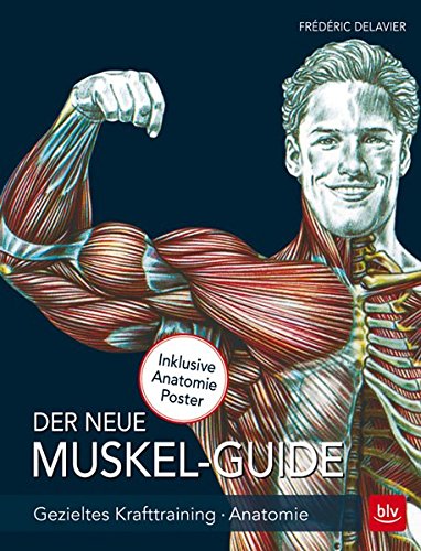 muskelguide